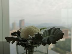 -君悦酒店·大堂酒吧·高空下午茶·暮色微醺