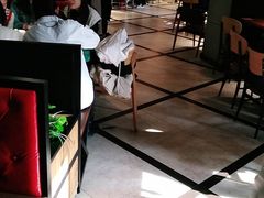 -比格比萨自助(花园路店)