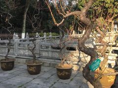 -包公祠