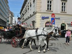 -斯蒂芬主教座堂(Stephansdom)