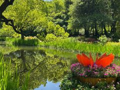 -上海共青森林公园