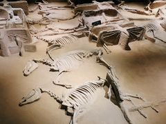 -洛阳周王城天子驾六博物馆