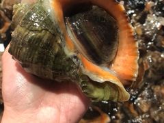 -旺角小渔村·海肠捞饭开创者(环山路店)