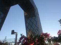 -中央广播电视总台(光华路办公区)