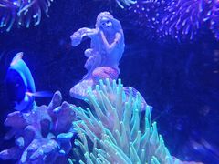 -太平洋海底世界