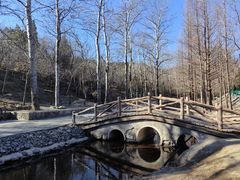 -白水寺森林公园