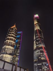 -巍阁高端月子会所