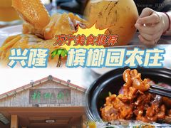 -兴隆槟榔园休闲农庄