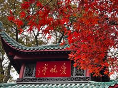 -岳麓山风景名胜区