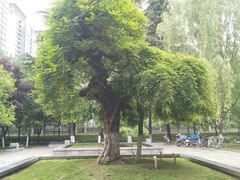 -木塔寺遗址生态公园