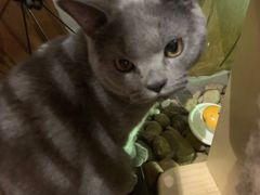 -么么咖啡(燕郊店)