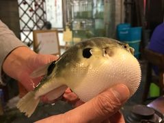 -观桥阁(锦溪店)