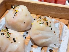 -岭南站NOVA