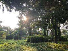 -南沙蒲洲花园