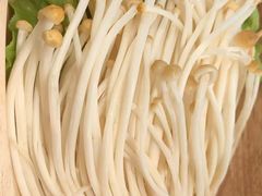 -莺花渡火锅City Green(万象城店)