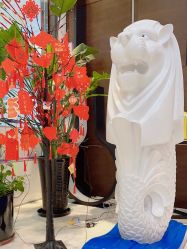 -洁铭新加坡医美