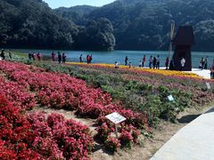 -广州市石门国家森林公园