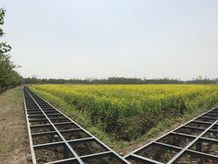 -祝甸砖窑文化馆