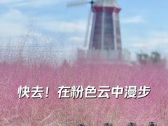 -羊亭河湿地公园