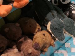 -JOYCODE(西单大悦城店)