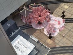 -花潮料理艺食馆(SM新生活广场店)