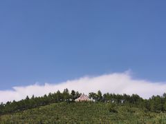 -塔尔寺