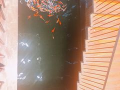 -顺丰国宴(工业博物馆店)