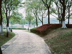 -月湖风景区
