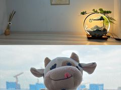 -天英星生命状态设计