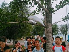 -丁香湖公园