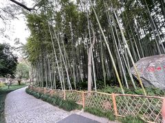 -上海醉白池公园