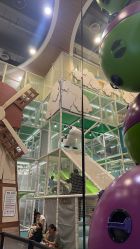 -MELAND CLUB亲子乐园•派对(石家庄万象城店)