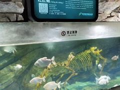 -泉城欧乐堡海洋极地世界