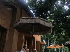 -杨家堂村