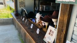 -造物庄园 萌宠纪(苏州湾歌林公园店)