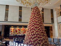 -中山喜来登酒店