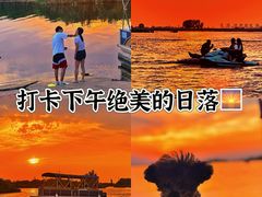 -白洋淀景区