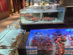 -阿伟海鲜楼·福建菜(延寿店)