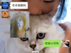-芭比堂动物医院·犬猫全科·异宠专科(雁塔分院)