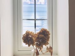 -素咫咖啡CLIFEROSE