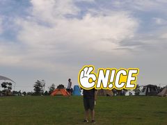 -春花秋色城市公园