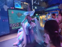 -烟台海昌鲸鲨海洋公园