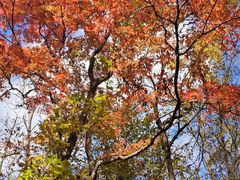 -丹东天桥沟景区