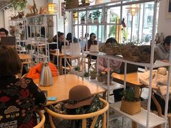 大堂-苗祖咖啡(洛克时代中心店)