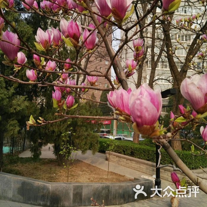 安贞社区街心公园
