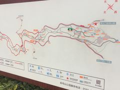 -金鸡山公园