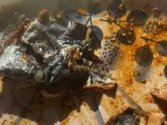 -何适山庄 ·可团建(水长城P2停车场店)