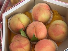 -南汇水蜜桃采摘(大团店)