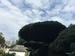 -水绘园