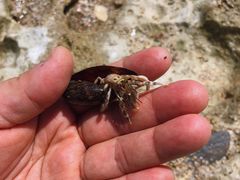 -白沙湾海滩